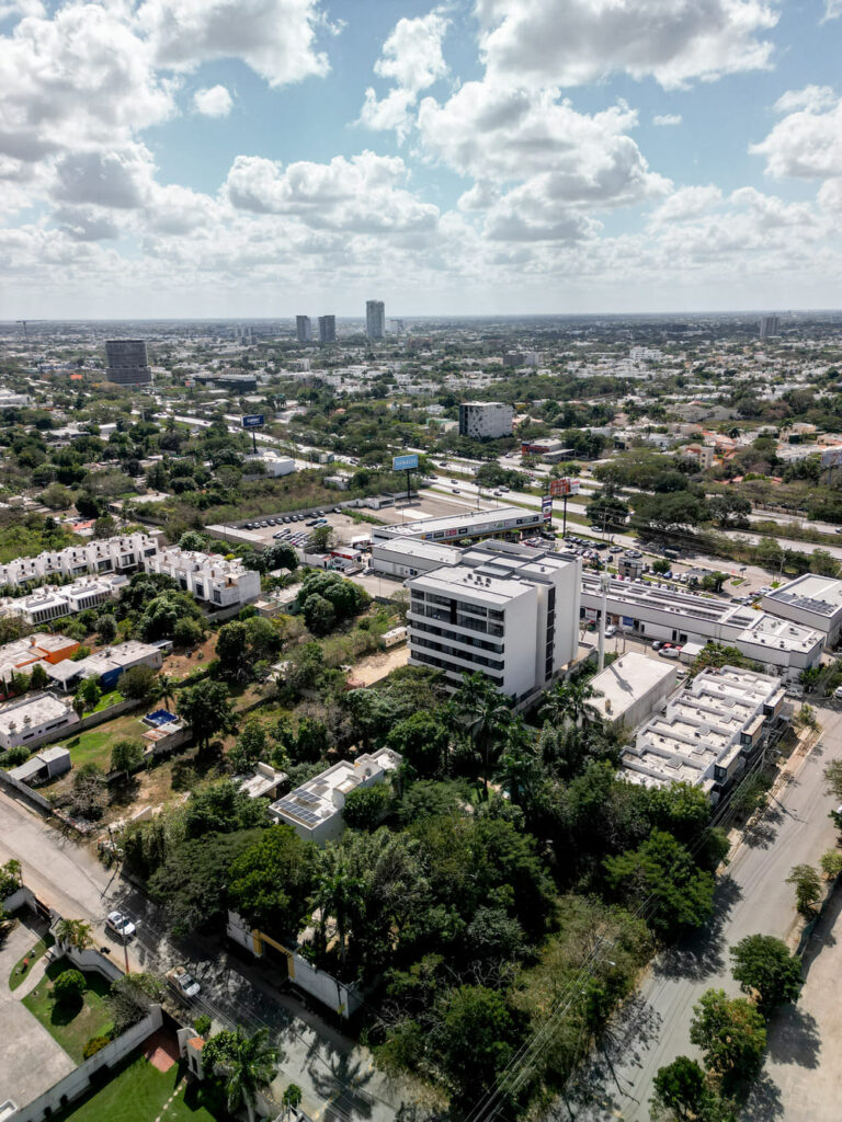 Cómo identificar un proyecto premium antes de que aumente su valor